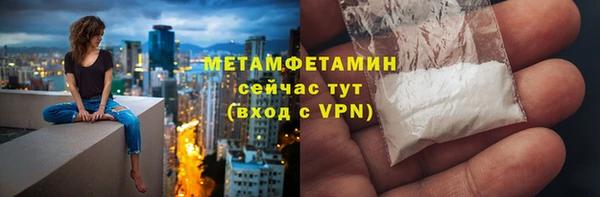 прущие грибы Надым