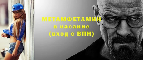 прущие грибы Надым