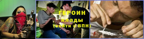 прущие грибы Надым