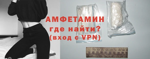прущие грибы Надым