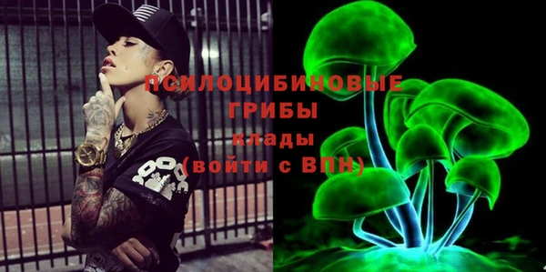 дурь Горнозаводск