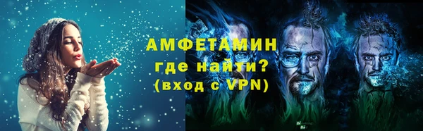 прущие грибы Надым