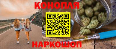 прущие грибы Гатчина