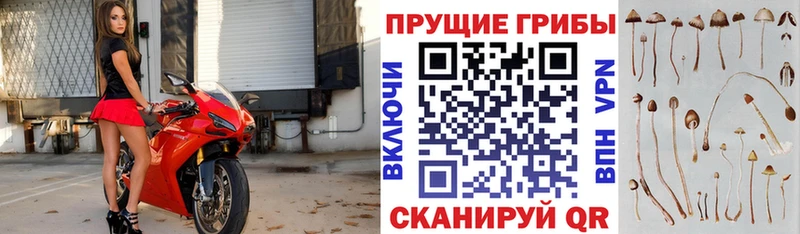 Галлюциногенные грибы MAGIC MUSHROOMS  Пермь 