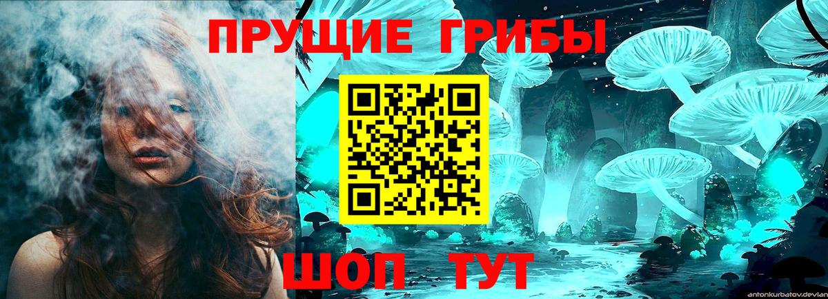 Псилоцибиновые грибы Psilocybe  Псилоцибиновые грибы прущие грибы  Пермь  Вход с VPN 
