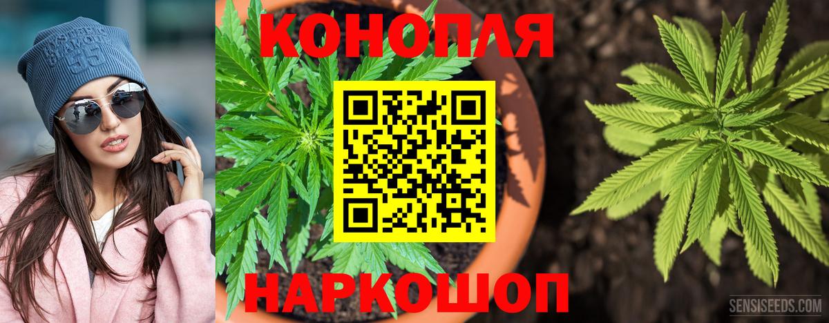 МАРИХУАНА Bruce Banner  Канабис семена  Пермь  Канабис марихуана  Канабис марихуана 